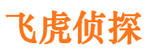 桑日外遇调查取证